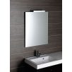 22469 AQUALINE Tükör 60x70cm, akasztó nélkül