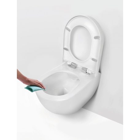 06 CDE6ZPW PEONIA Zero fali WC