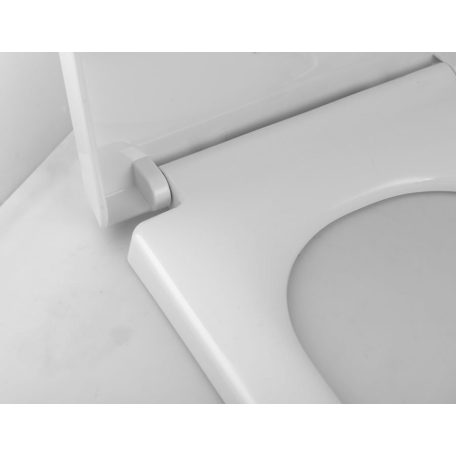 SAPHO AQUALINE DONA WC-ülőke, soft close, easy take, PP, fehér, (FD121)